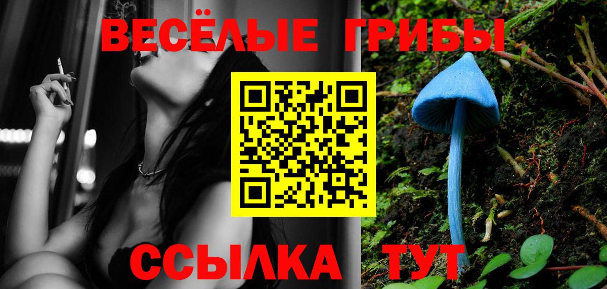 Серпухов  Галлюциногенные грибы GOLDEN TEACHER  Вход с VPN 